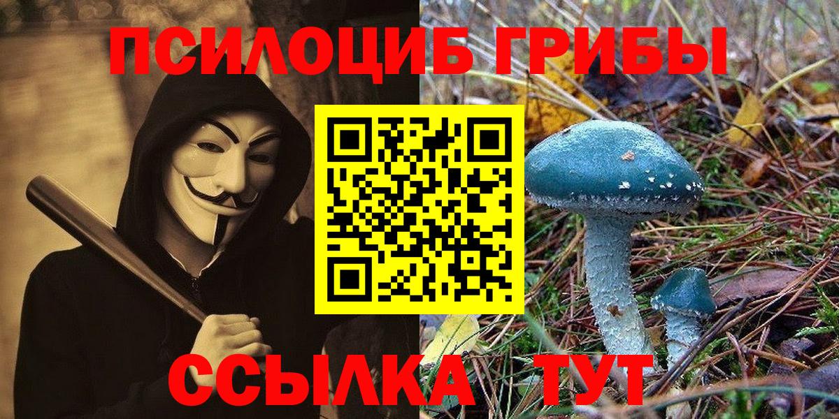 Псилоцибиновые грибы ЛСД  Галлюциногенные грибы ЛСД  сколько стоит  Щёлково  Вход с VPN 